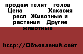 продам телят 5 голов › Цена ­ 75 000 - Хакасия респ. Животные и растения » Другие животные   